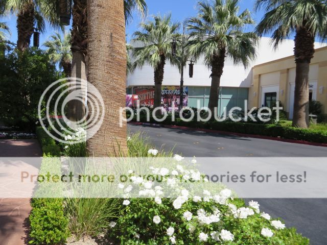 photo IMG_0447_zpsebcb3c7d.jpg